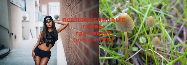 кокс Алексин