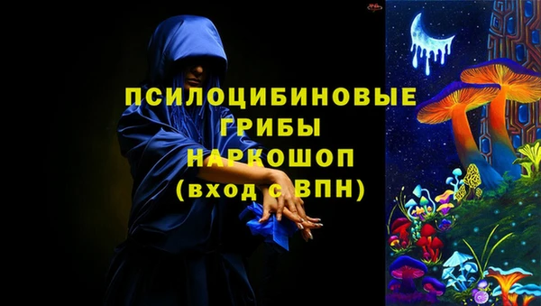 кокс Алексин