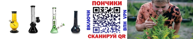 Купить где  Домодедово  Шишки марихуана планчик 